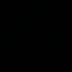 Meet your Posher, Liz